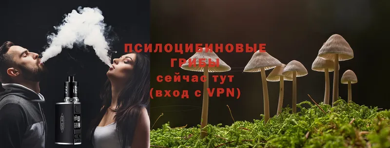 Псилоцибиновые грибы MAGIC MUSHROOMS  OMG вход  Белогорск 